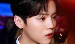 高瀚宇爆料鹿晗了吗视频,视频爆料背后的真相